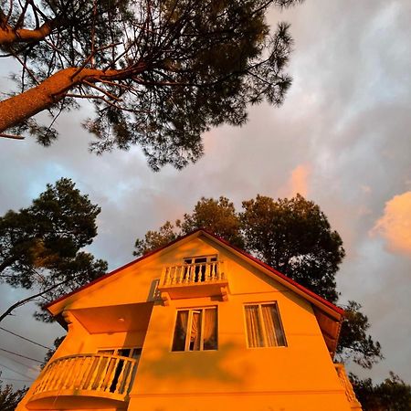 שקווטילי Kaprovani Villa 22 מראה חיצוני תמונה