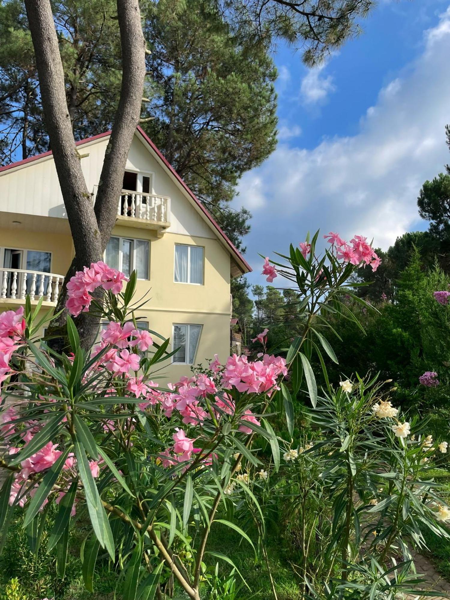 שקווטילי Kaprovani Villa 22 מראה חיצוני תמונה