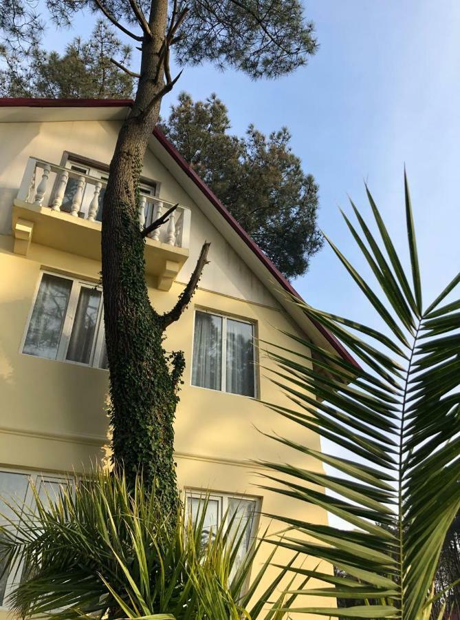 שקווטילי Kaprovani Villa 22 מראה חיצוני תמונה